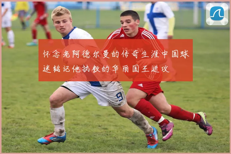怀念老阿德尔曼的传奇生涯中国球迷铭记他执教的华丽国王进攻