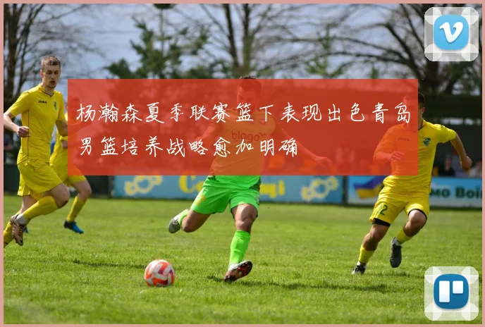 杨瀚森夏季联赛篮下表现出色青岛男篮培养战略愈加明确