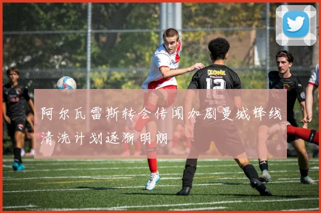 阿尔瓦雷斯转会传闻加剧曼城锋线清洗计划逐渐明朗